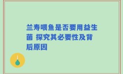 兰寿喂鱼是否要用益生菌 探究其必要性及背后原因