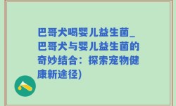 巴哥犬喝婴儿益生菌_巴哥犬与婴儿益生菌的奇妙结合：探索宠物健康新途径)