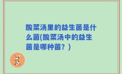 酸菜汤里的益生菌是什么菌(酸菜汤中的益生菌是哪种菌？)