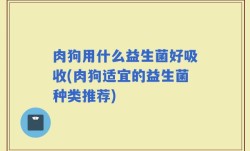 肉狗用什么益生菌好吸收(肉狗适宜的益生菌种类推荐)