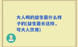 大人喝的益生菌什么样子的(益生菌长这样，可大人饮用)