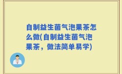 自制益生菌气泡果茶怎么做(自制益生菌气泡果茶，做法简单易学)