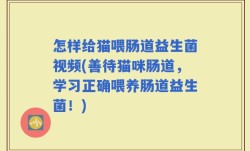 怎样给猫喂肠道益生菌视频(善待猫咪肠道，学习正确喂养肠道益生菌！)