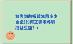 和尚鹦鹉喂益生菌多少合适(如何正确喂养鹦鹉益生菌？)