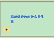 猫咪促吸收吃什么益生菌