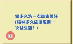 猫多久洗一次益生菌好(猫咪多久应该服用一次益生菌？)
