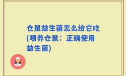 仓鼠益生菌怎么给它吃(喂养仓鼠：正确使用益生菌)