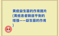 黄疸益生菌的作用图片(黄疸患者肠道平衡的增强——益生菌的作用)