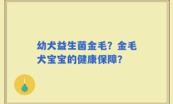 幼犬益生菌金毛？金毛犬宝宝的健康保障？