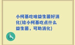 小柯基吃啥益生菌好消化(给小柯基吃点什么益生菌，可助消化)