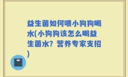 益生菌如何喂小狗狗喝水(小狗狗该怎么喝益生菌水？营养专家支招)