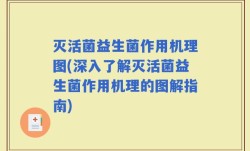 灭活菌益生菌作用机理图(深入了解灭活菌益生菌作用机理的图解指南)