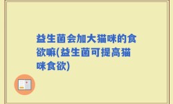 益生菌会加大猫咪的食欲嘛(益生菌可提高猫咪食欲)