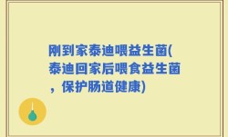 刚到家泰迪喂益生菌(泰迪回家后喂食益生菌，保护肠道健康)