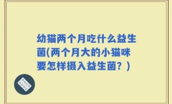 幼猫两个月吃什么益生菌(两个月大的小猫咪要怎样摄入益生菌？)