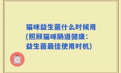 猫咪益生菌什么时候用(照顾猫咪肠道健康：益生菌最佳使用时机)