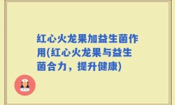 红心火龙果加益生菌作用(红心火龙果与益生菌合力，提升健康)