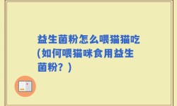 益生菌粉怎么喂猫猫吃(如何喂猫咪食用益生菌粉？)