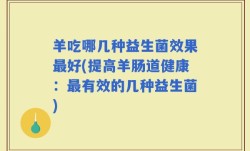 羊吃哪几种益生菌效果最好(提高羊肠道健康：最有效的几种益生菌)