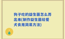 狗子吃的益生菌怎么弄出来(制作益生菌给爱犬食用简易方法)