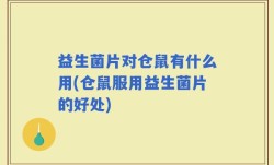 益生菌片对仓鼠有什么用(仓鼠服用益生菌片的好处)
