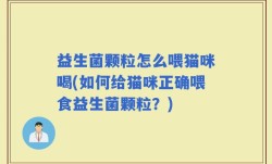 益生菌颗粒怎么喂猫咪喝(如何给猫咪正确喂食益生菌颗粒？)