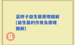 蓝胖子益生菌原理图解(益生菌的作用及原理图解)