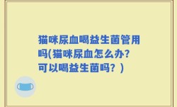 猫咪尿血喝益生菌管用吗(猫咪尿血怎么办？可以喝益生菌吗？)