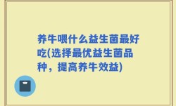 养牛喂什么益生菌最好吃(选择最优益生菌品种，提高养牛效益)
