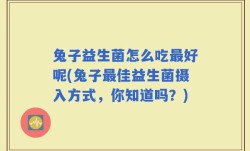 兔子益生菌怎么吃最好呢(兔子最佳益生菌摄入方式，你知道吗？)