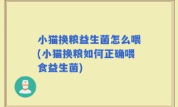 小猫换粮益生菌怎么喂(小猫换粮如何正确喂食益生菌)
