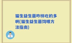 猫生益生菌咋样吃的多啊(猫生益生菌饲喂方法指南)