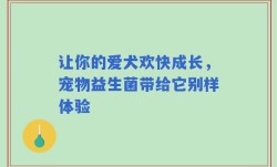 让你的爱犬欢快成长，宠物益生菌带给它别样体验