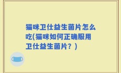 猫咪卫仕益生菌片怎么吃(猫咪如何正确服用卫仕益生菌片？)