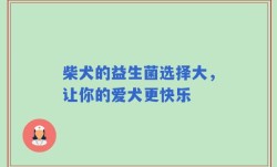 柴犬的益生菌选择大，让你的爱犬更快乐