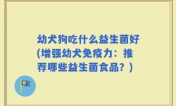 幼犬狗吃什么益生菌好(增强幼犬免疫力：推荐哪些益生菌食品？)