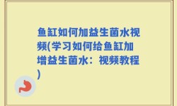 鱼缸如何加益生菌水视频(学习如何给鱼缸加增益生菌水：视频教程)