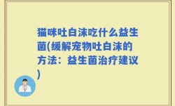 猫咪吐白沫吃什么益生菌(缓解宠物吐白沫的方法：益生菌治疗建议)