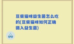 豆柴猫咪益生菌怎么吃的(豆柴猫咪如何正确摄入益生菌)