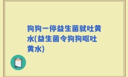 狗狗一停益生菌就吐黄水(益生菌令狗狗呕吐黄水)