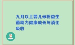 九月以上婴儿米粉益生菌助力健康成长与消化吸收