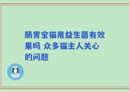肠胃宝猫用益生菌有效果吗 众多猫主人关心的问题
