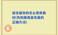 益生菌狗狗怎么使用最好(狗狗服用益生菌的正确方法)