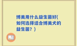 博美用什么益生菌好(如何选择适合博美犬的益生菌？)