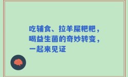 吃辅食、拉羊屎粑粑，喝益生菌的奇妙转变，一起来见证