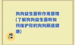 狗狗益生菌粉作用原理(了解狗狗益生菌粉如何维护你的狗狗肠道健康)