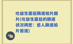吃益生菌后肠道拍片图片(吃益生菌后的肠道状况揭密：感人肠道拍片报道)