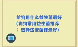 给狗用什么益生菌最好(狗狗常用益生菌推荐：选择这些菌株最好)