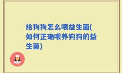 给狗狗怎么喂益生菌(如何正确喂养狗狗的益生菌)