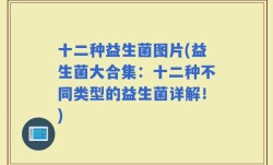 十二种益生菌图片(益生菌大合集：十二种不同类型的益生菌详解！)